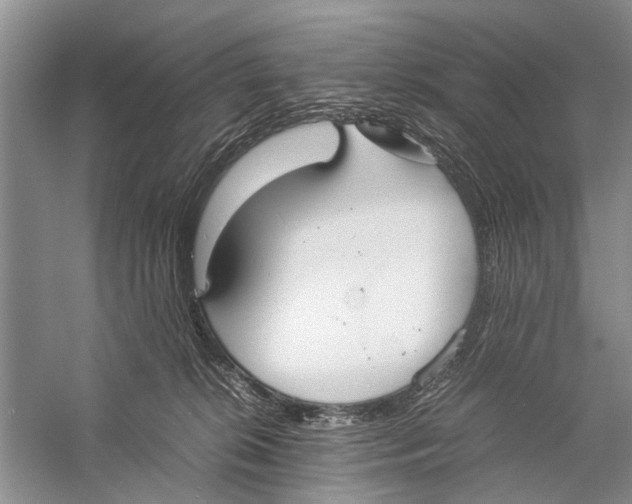 X0000057040276200510071413