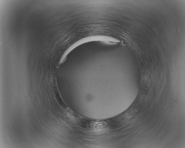 X0000057040277200510071413