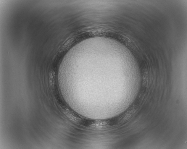 X0000057040278200510071413