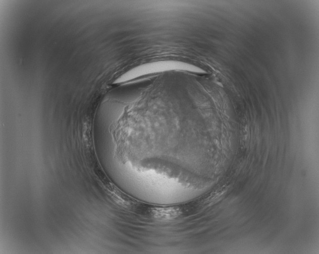 X0000057040281200510071413