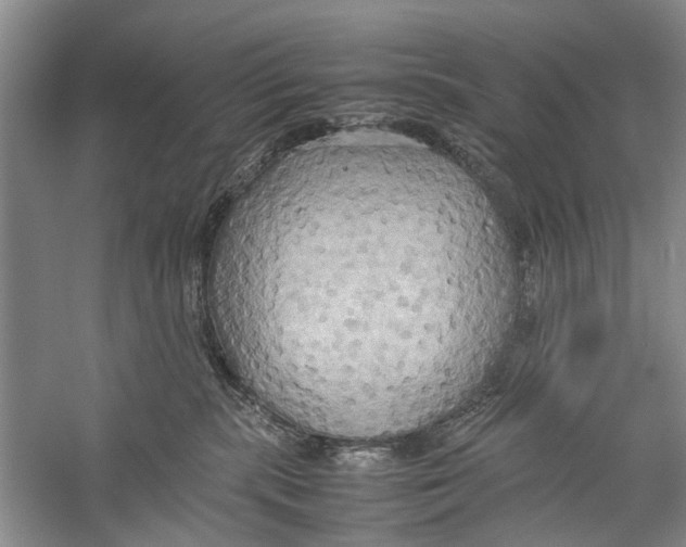 X0000057040283200510071413