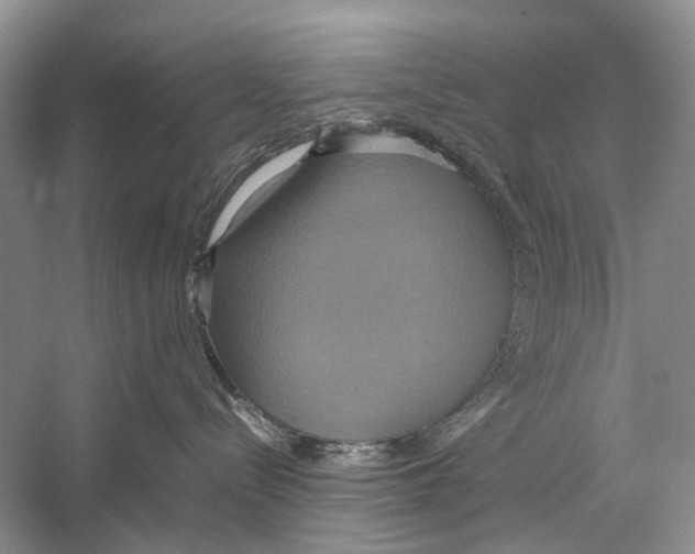 X0000057040288200510071413