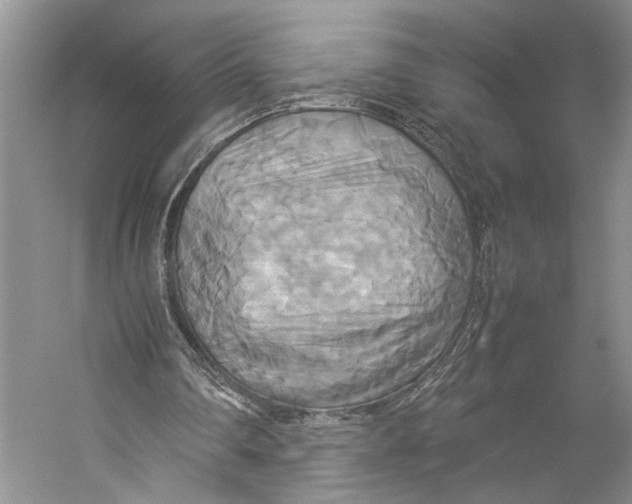 X0000057040290200510071413