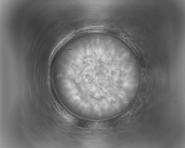 X0000057040293200510071413