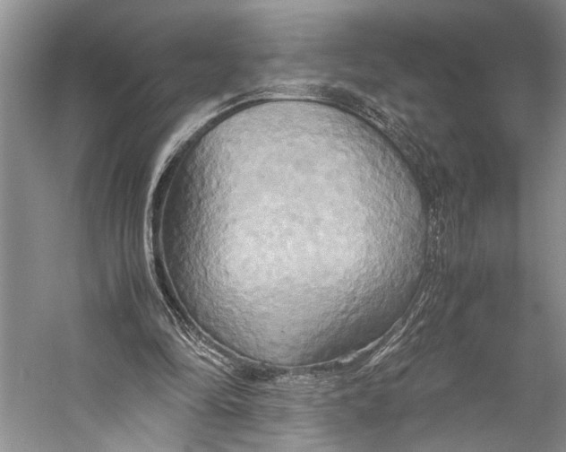X0000057040294200510071413