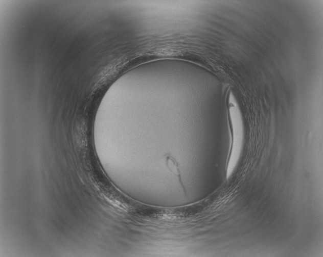 X0000057040303200510071412