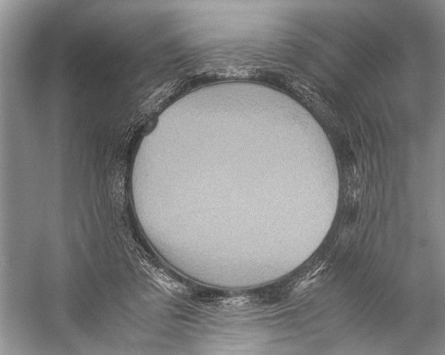X0000057040309200510071412