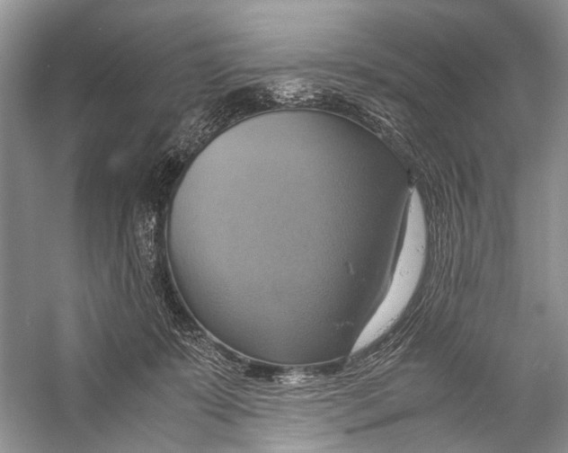 X0000057040319200510071412