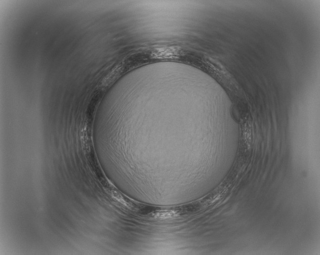 X0000057040322200510071412