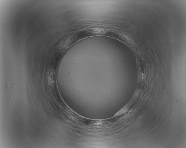 X0000057040325200510071412