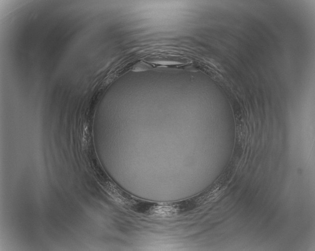X0000057040327200510071412