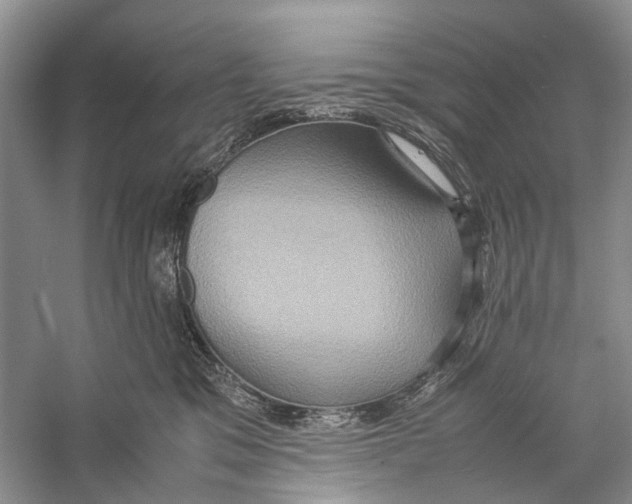 X0000057040329200510071412