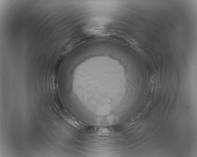 X0000057040330200510071412