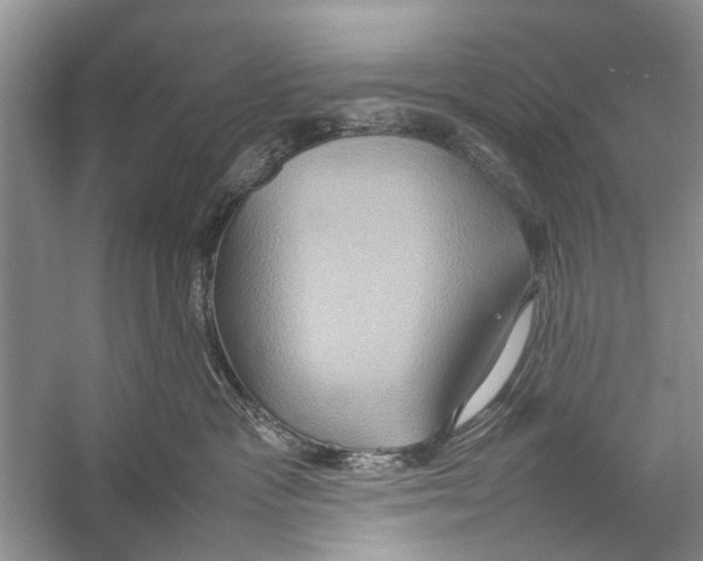 X0000057040333200510071412