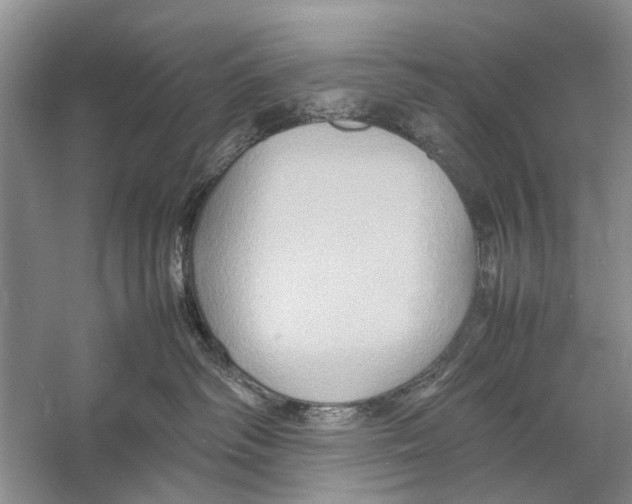 X0000057040334200510071412