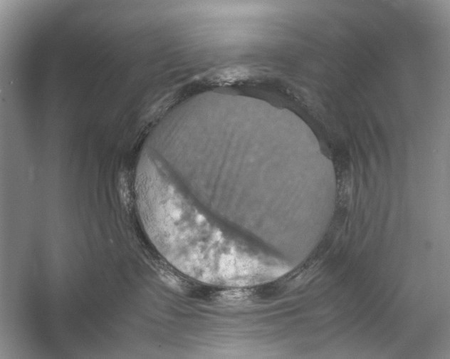 X0000057040335200510071412
