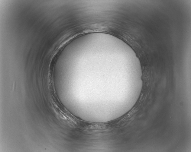 X0000057040338200510071411