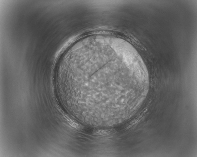 X0000057040341200510071411