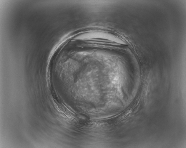 X0000057040343200510071411