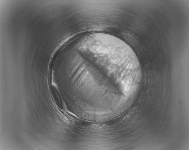 X0000057040346200510071411