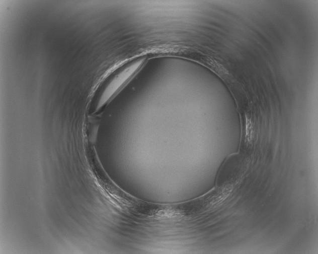 X0000057040348200510071411