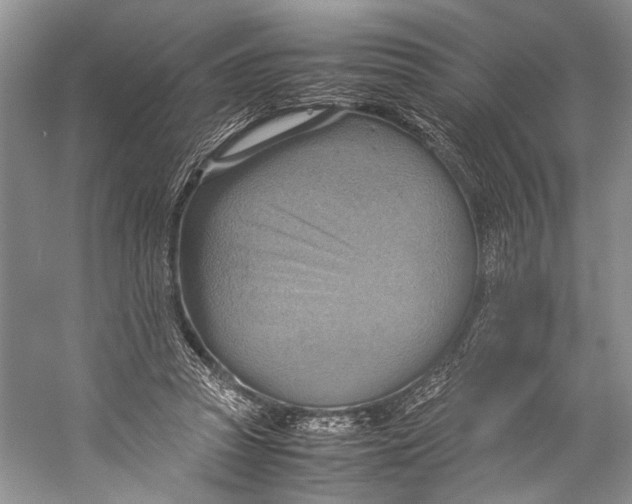 X0000057040353200510071411