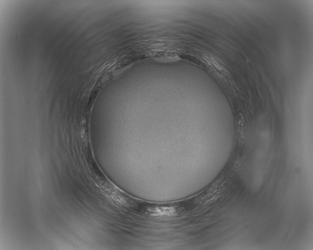 X0000057040361200510071411