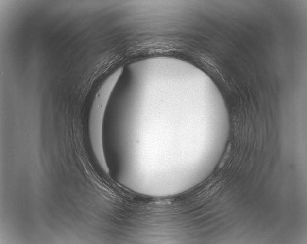 X0000057040362200510071411