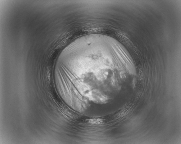 X0000057040363200510071411