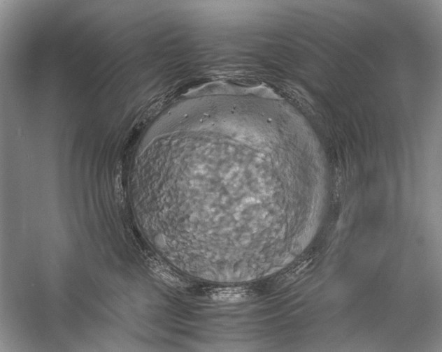 X0000057040377200510071412