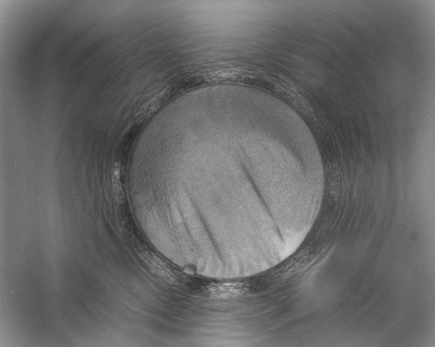 X0000057040378200510071412