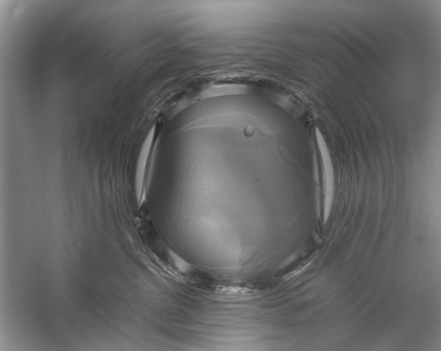 X0000057040380200510071412