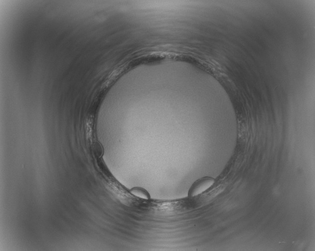 X0000057040382200510071412