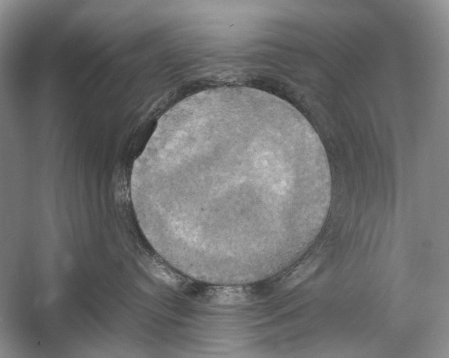 X0000057040384200510071412