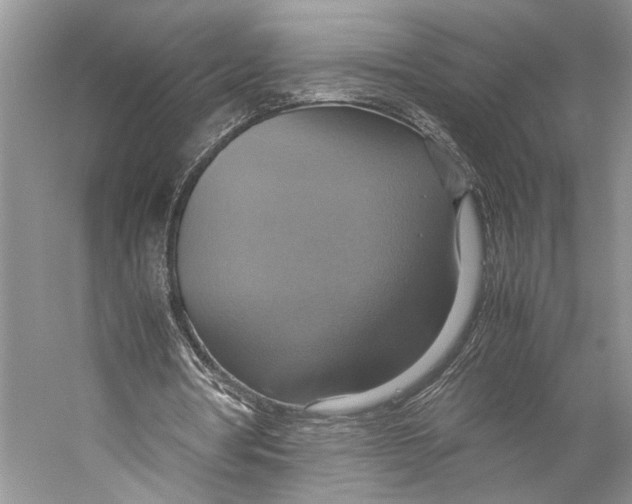 X0000057040386200510071411