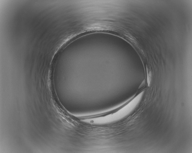 X0000057040387200510071411