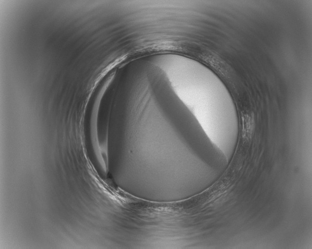 X0000057040390200510071411