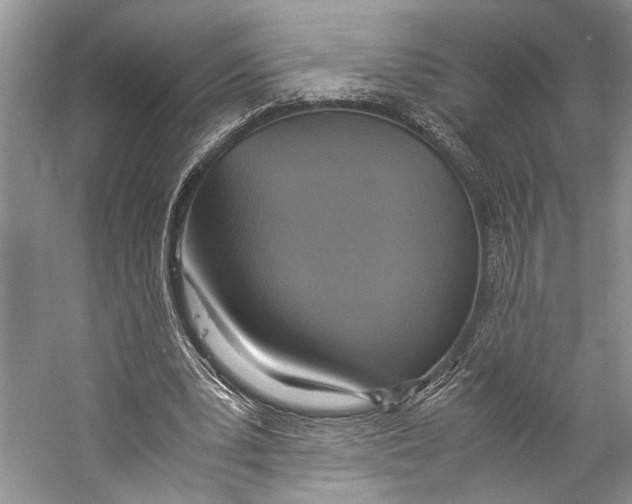 X0000057040391200510071411