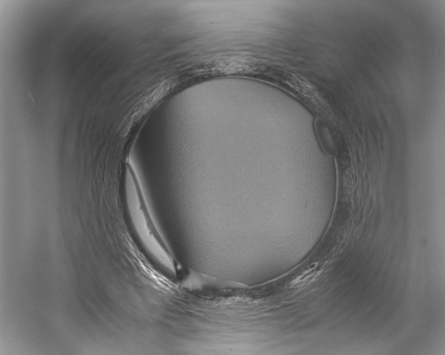 X0000057040393200510071411