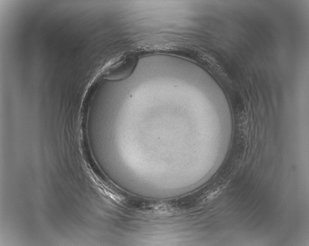 X0000057040395200510071411