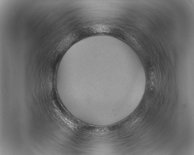 X0000057040402200510071411