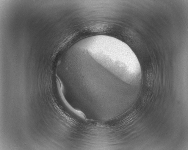 X0000057040404200510071411