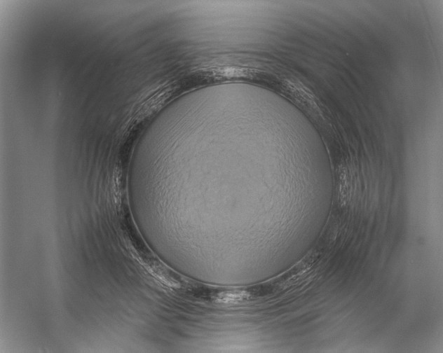 X0000057040410200510071411