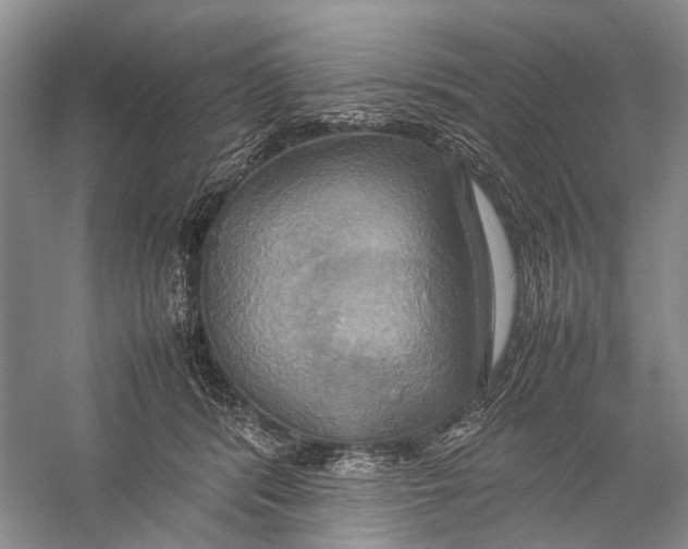 X0000057040416200510071410
