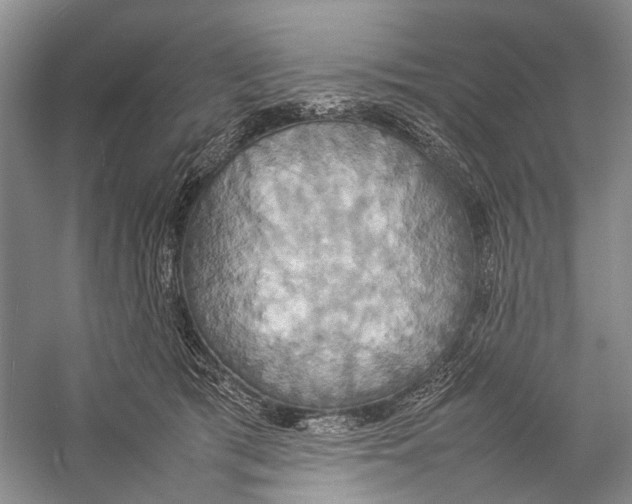 X0000057040417200510071410