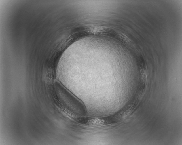 X0000057040421200510071410