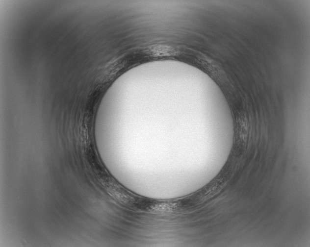 X0000057040422200510071410