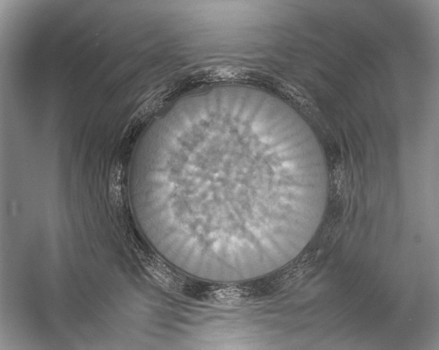 X0000057040423200510071410