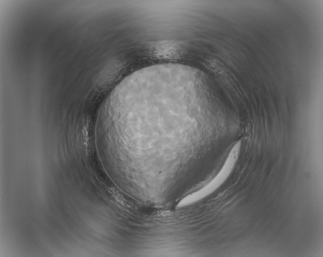 X0000057040424200510071410