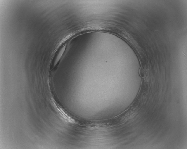 X0000057040434200510071409
